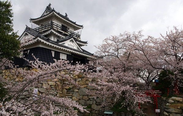 castillo hikuma hamamatsu