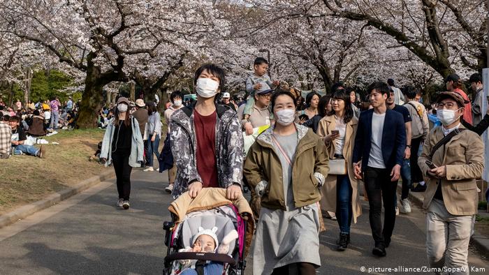 Hanami en pandemia