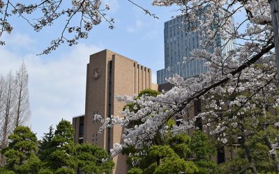 Top 5 universidades japonesas con programas en inglés