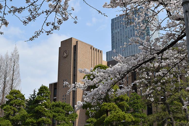 Top 5 universidades japonesas con programas en inglés