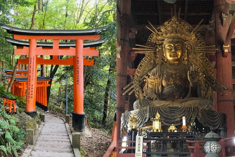 Un tori y un budha