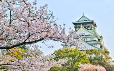 Cómo funciona la política local en Japón