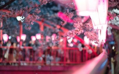 Palabras japonesas sin traducción literal: una ventana hacia Japón